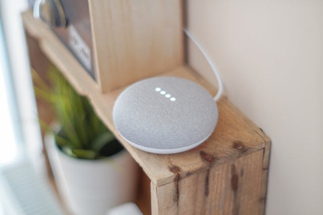 Google Gray smart speaker with illuminated LED lights on rustic wooden shelf next to potted plant